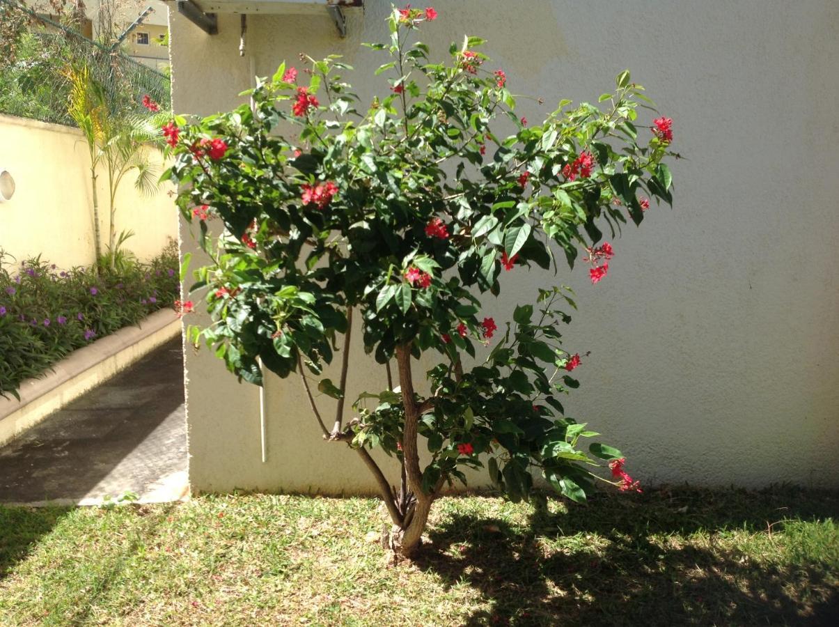 Lovely In En Flac, Close To The And Amenities. Apartment Flic en Flac